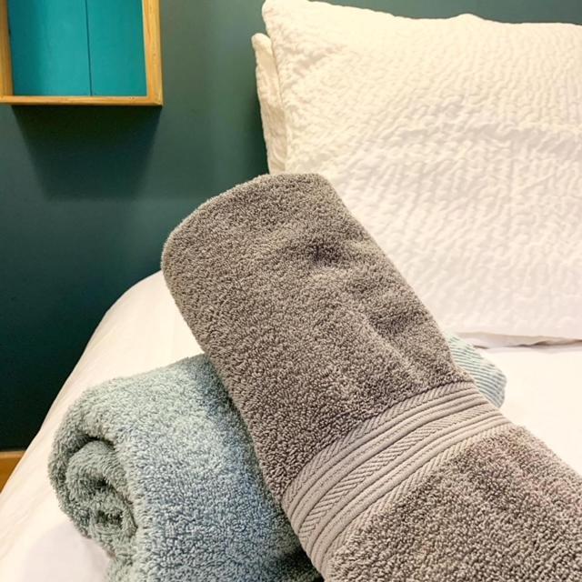 Au Cheval Blanc - Appartements Et Chambres D'Hotes 阿尔贝维尔 外观 照片