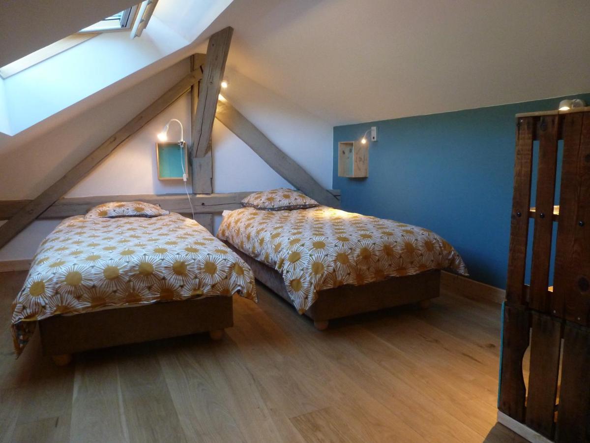 Au Cheval Blanc - Appartements Et Chambres D'Hotes 阿尔贝维尔 外观 照片