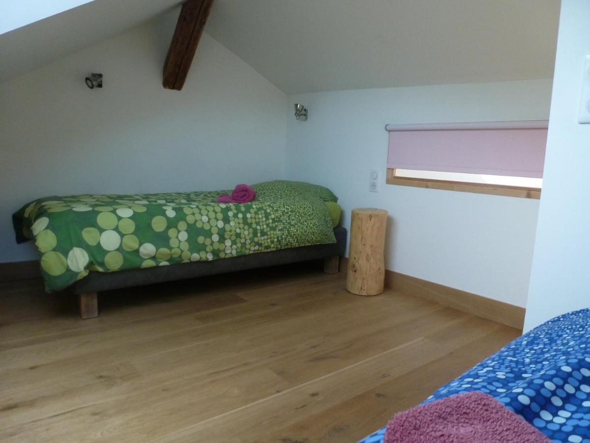 Au Cheval Blanc - Appartements Et Chambres D'Hotes 阿尔贝维尔 外观 照片