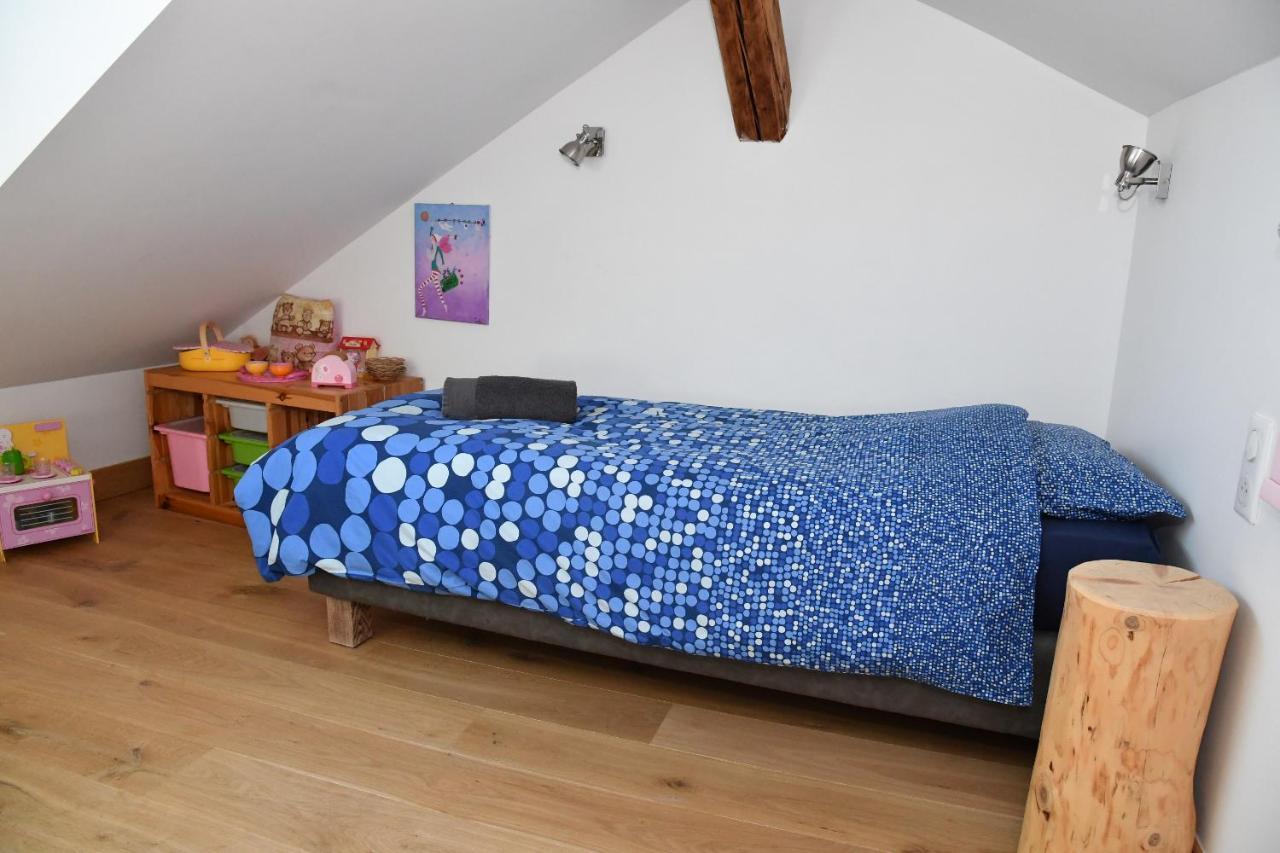 Au Cheval Blanc - Appartements Et Chambres D'Hotes 阿尔贝维尔 外观 照片