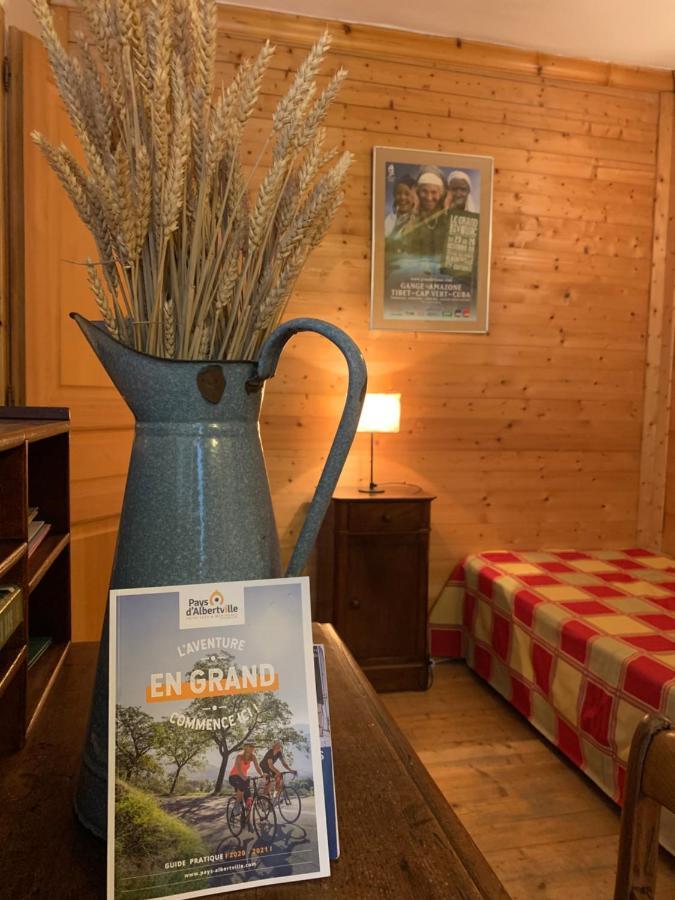 Au Cheval Blanc - Appartements Et Chambres D'Hotes 阿尔贝维尔 外观 照片