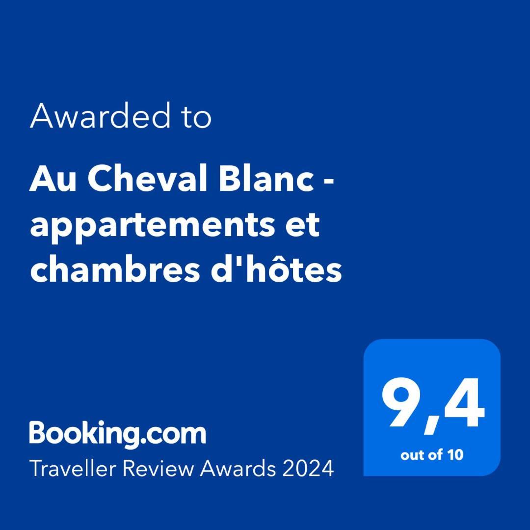 Au Cheval Blanc - Appartements Et Chambres D'Hotes 阿尔贝维尔 外观 照片