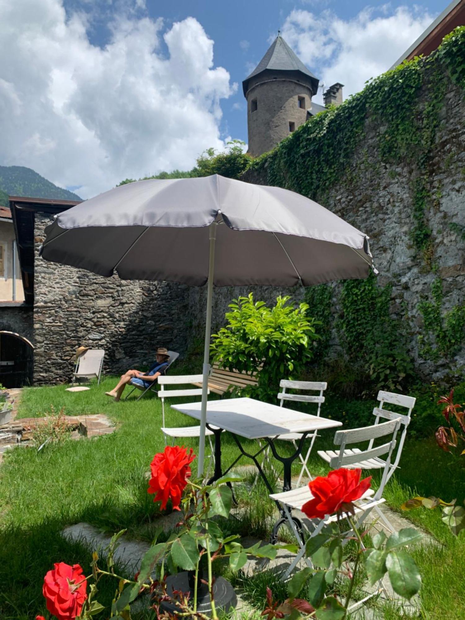 Au Cheval Blanc - Appartements Et Chambres D'Hotes 阿尔贝维尔 外观 照片